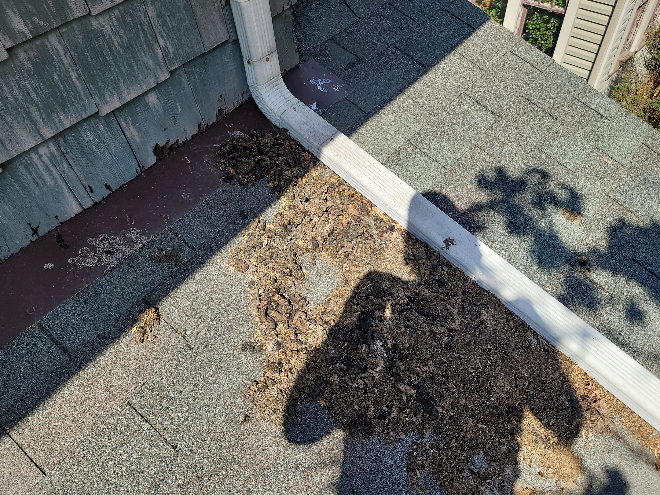 ATLAS PINNACLE COLOR: BURNT HICKORY DRIP EDGE: WHITE by Eagle Eye Roofing