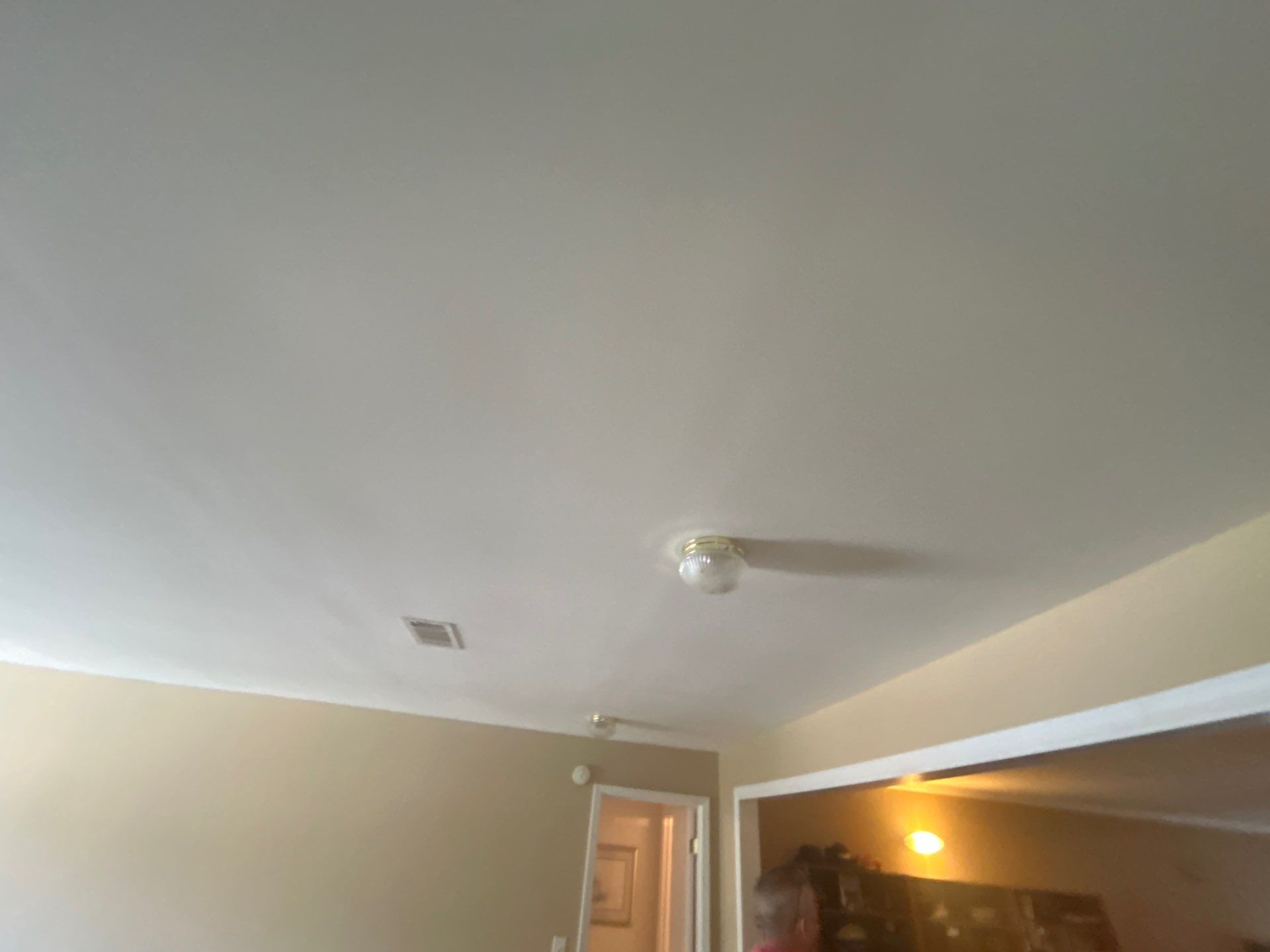 1521 Rocky Knoll Ln — Dacula | RenoMaxIT by RENOMAXIT, LLC