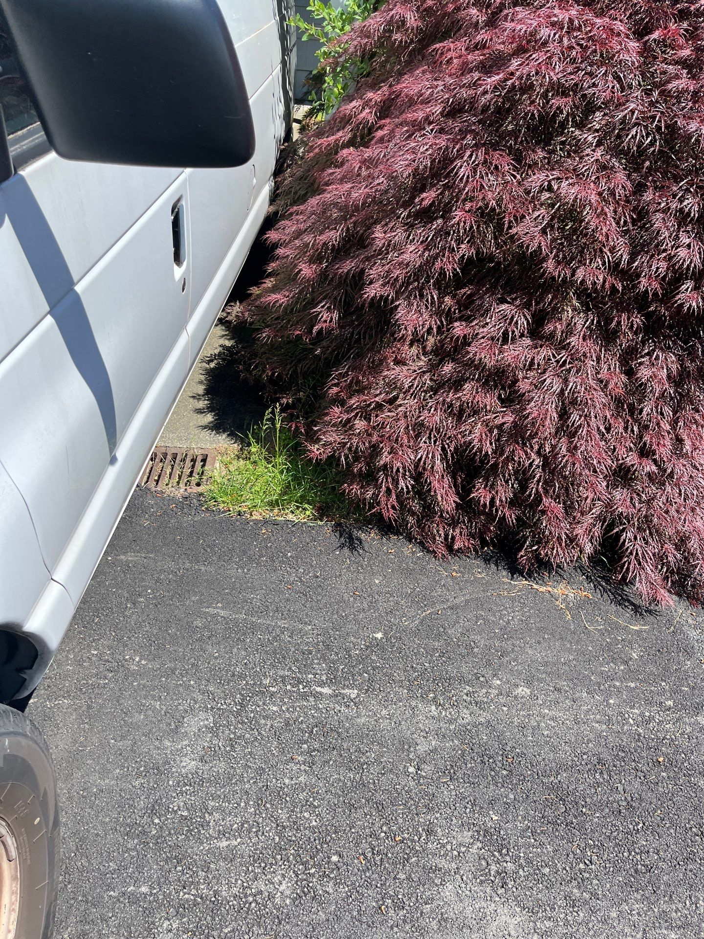 John | Asphalt Driveway by Jireh Asphalt & Concrete Inc 