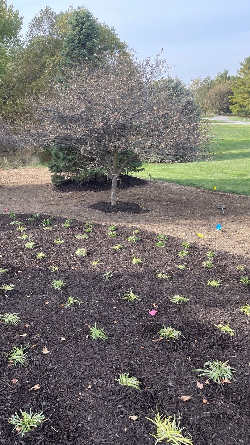 Landscape Bed Updates.  by New Horizon Landscapes