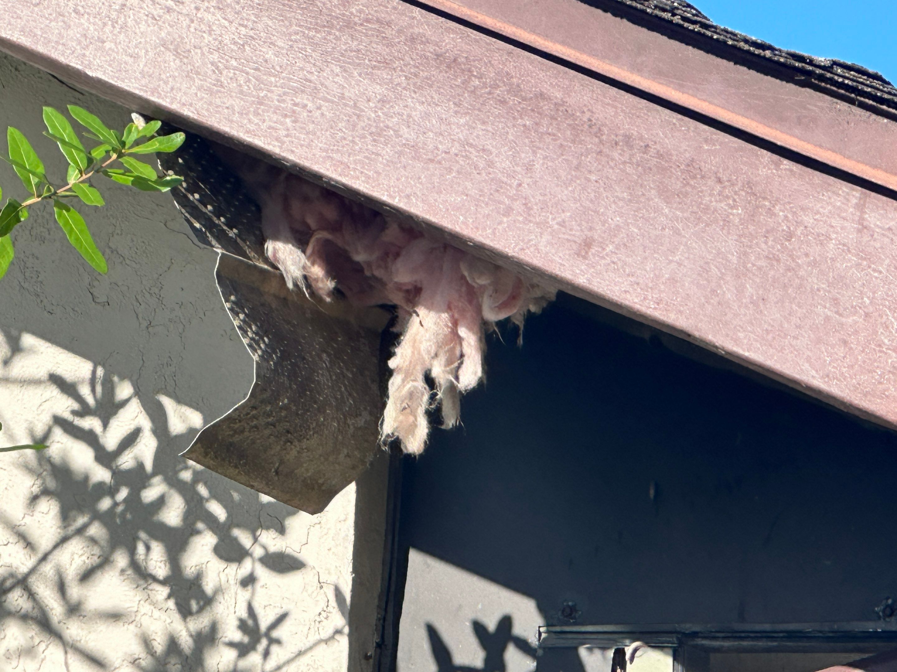Water Damage Claim in Venice by FLAPA & KeyStone