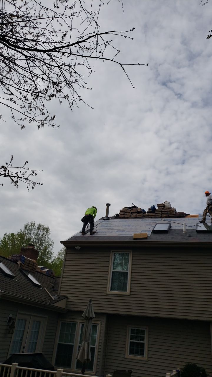 Springfield Certainteed Landmark Pro Designer Shingles by RM Banning, Inc.