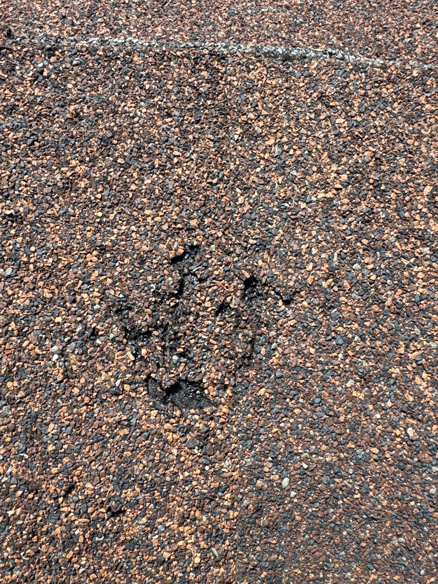 RON R by Boss Hogg Roofing