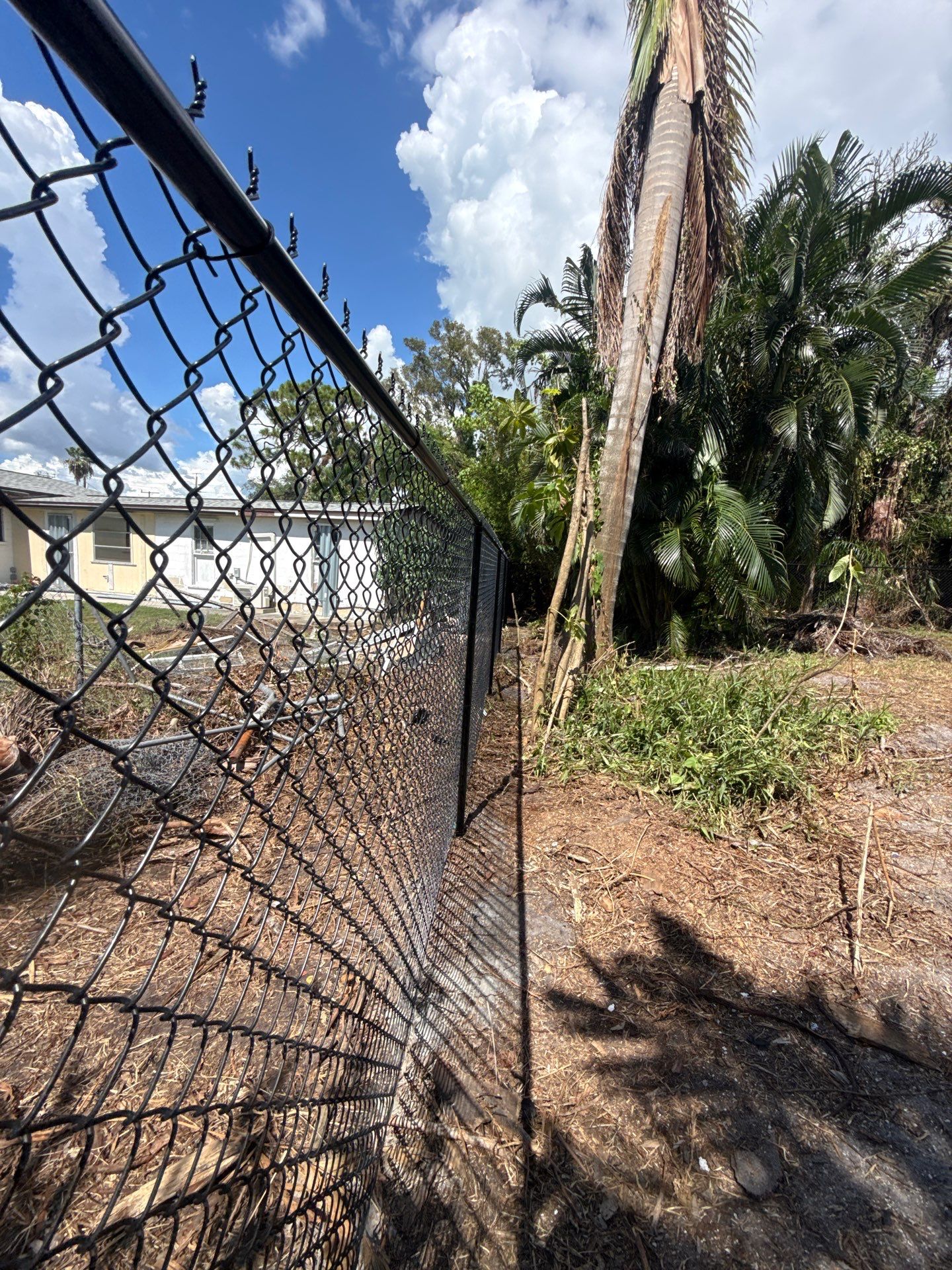 Black Chain Link Fence Installation and Site Clearing in Nokomis by True Fence LLC