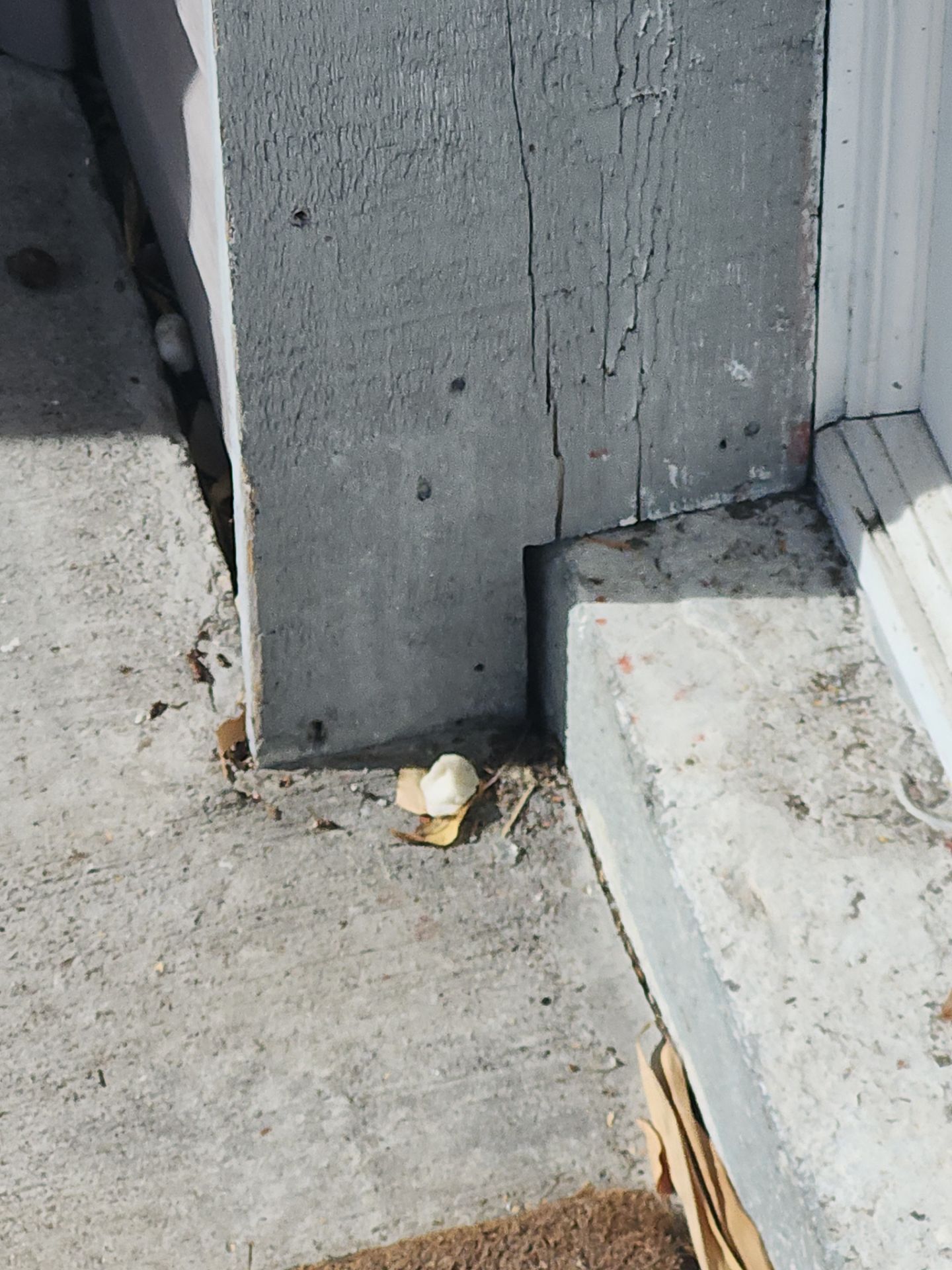 Project in Bradenton by Sunbelt Home Solutions