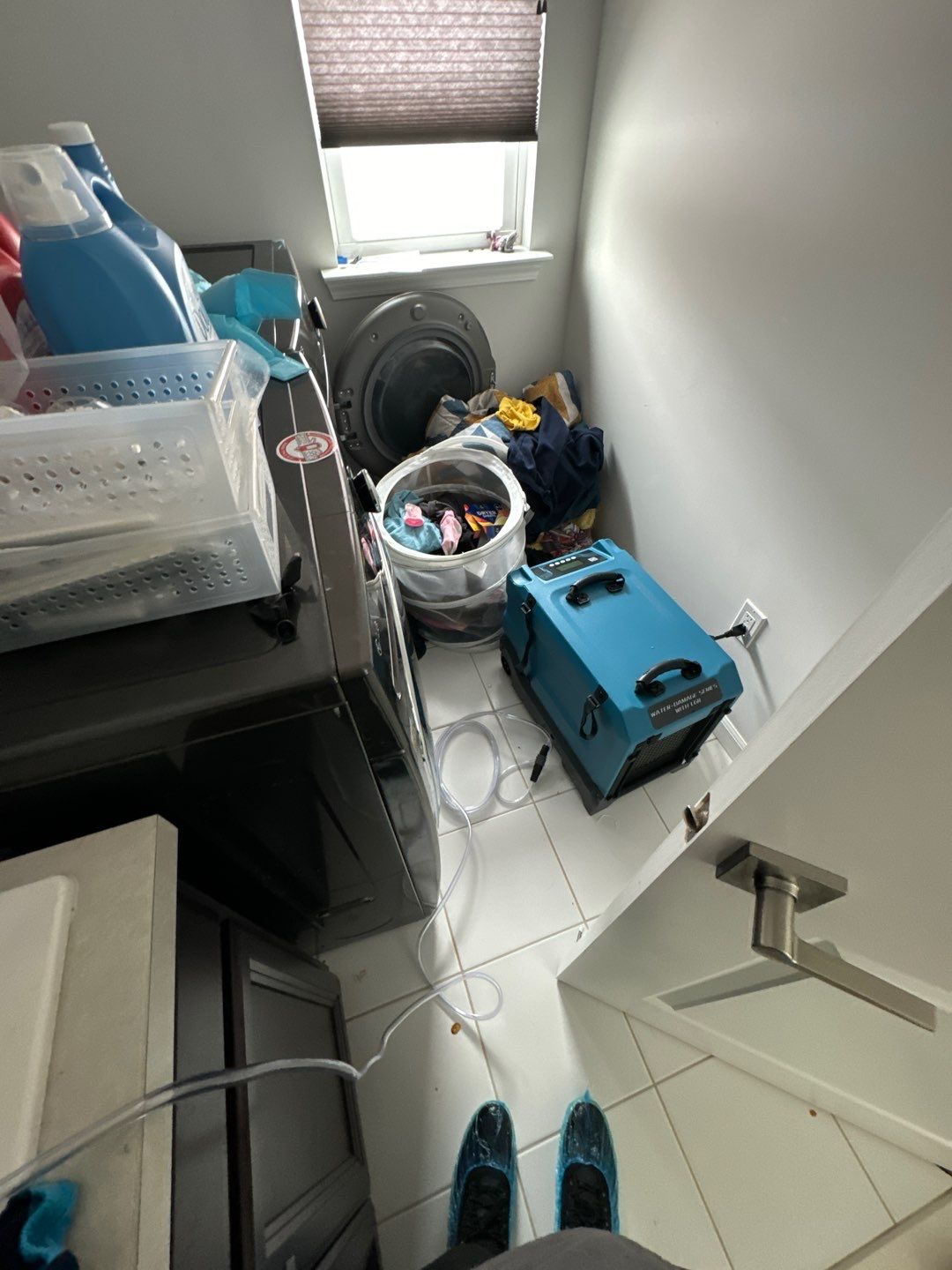 Project in South Lyon by EzDry Water Mitigation & Property Restoration