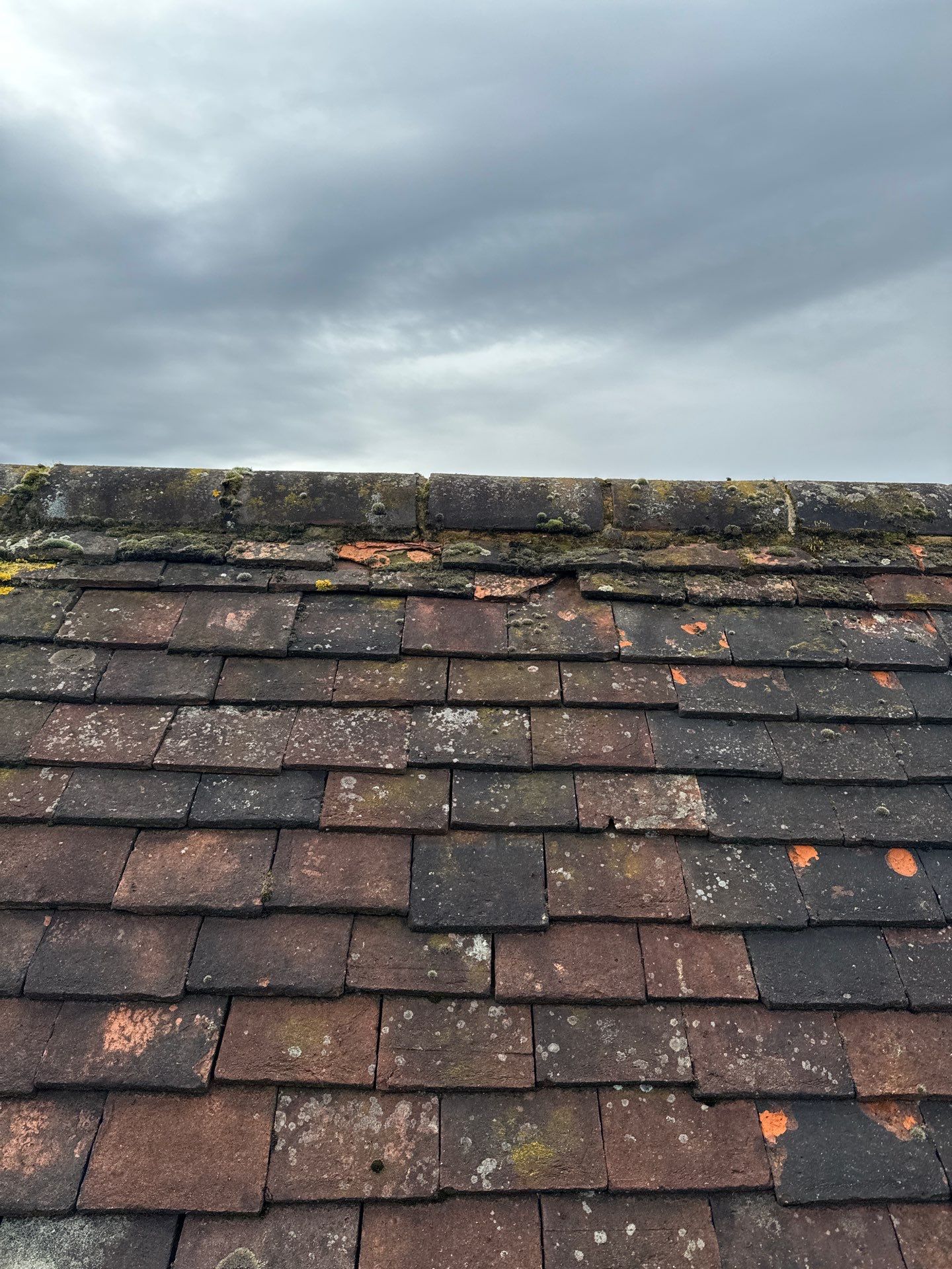 Exterior Clean - Roof - Patio - Driveway using Mosmatic FSC and Biocide by Ges Exterior Cleaning ltd