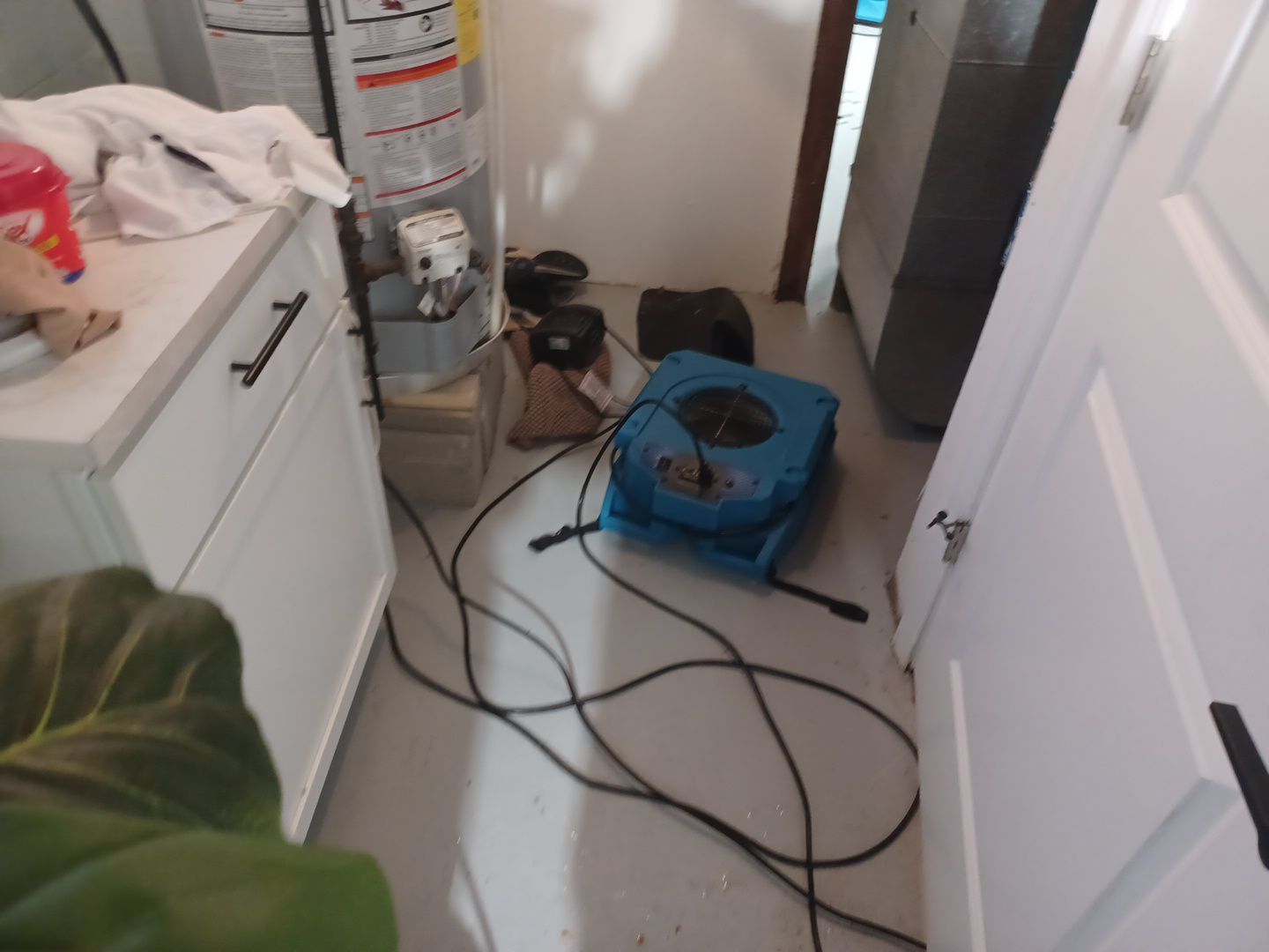 Project in Royal Oak by EzDry Water Mitigation & Property Restoration