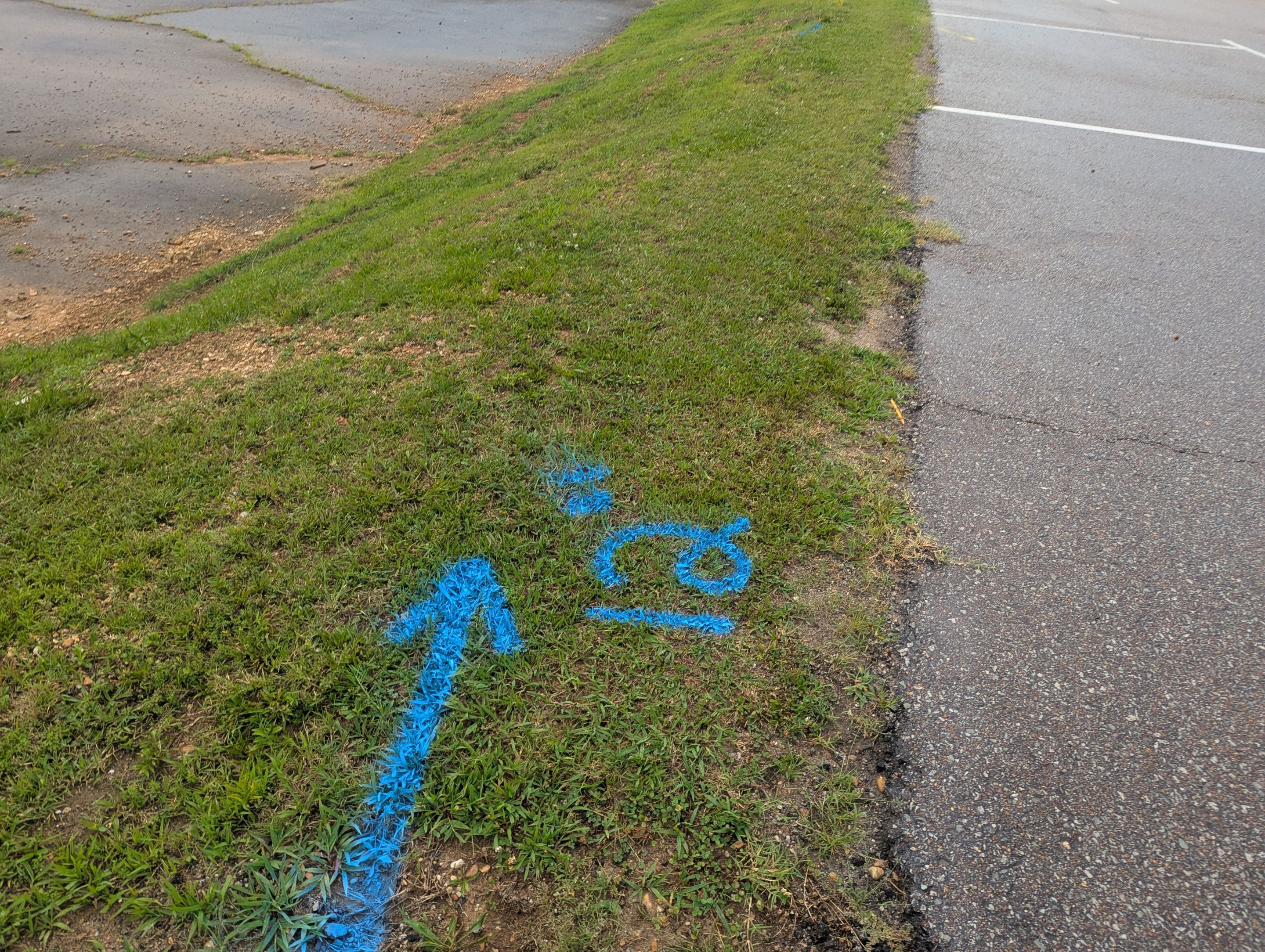 Utility Locate and GPR (School Project) by Alsip Locating Service, LLC