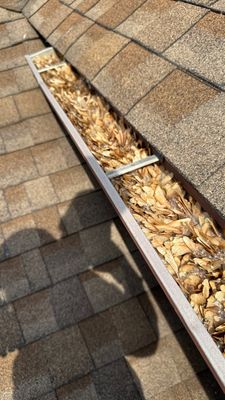 Turtle Shell gutter protection installation in Naperville, IL 60563, photograph 23