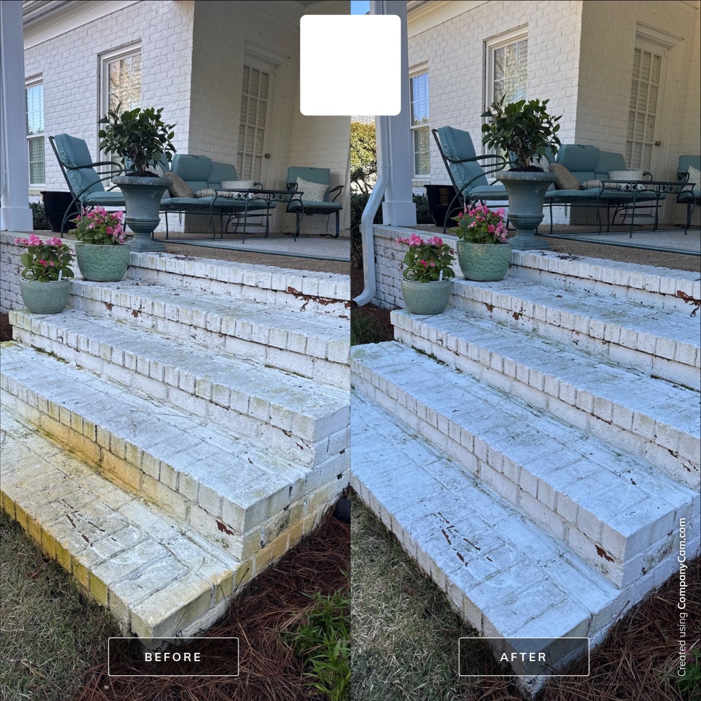 House Washing in Wilmington by Shark Power Washing