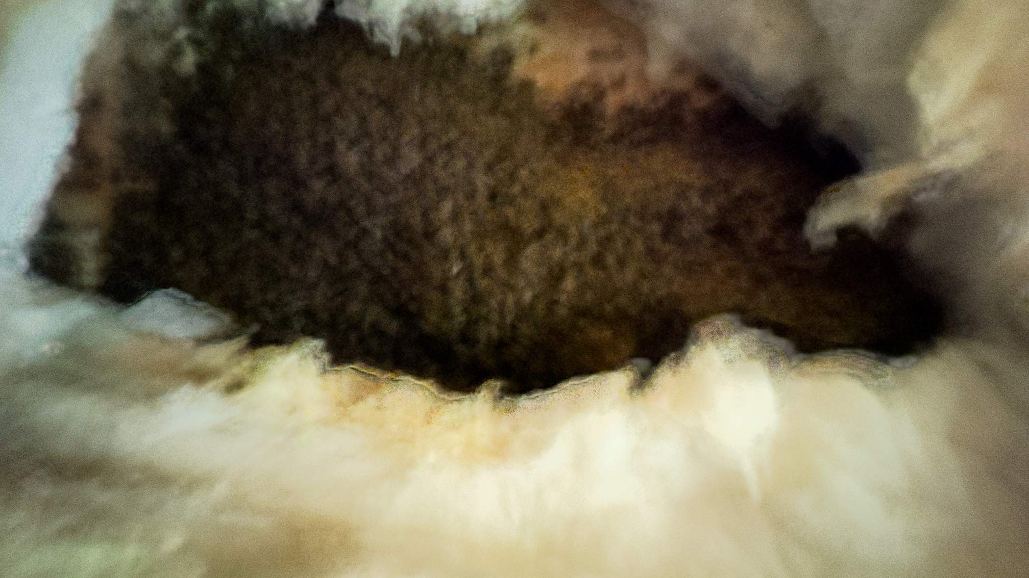 Spray Foam Chewers by Rockwall Honey Bee Company