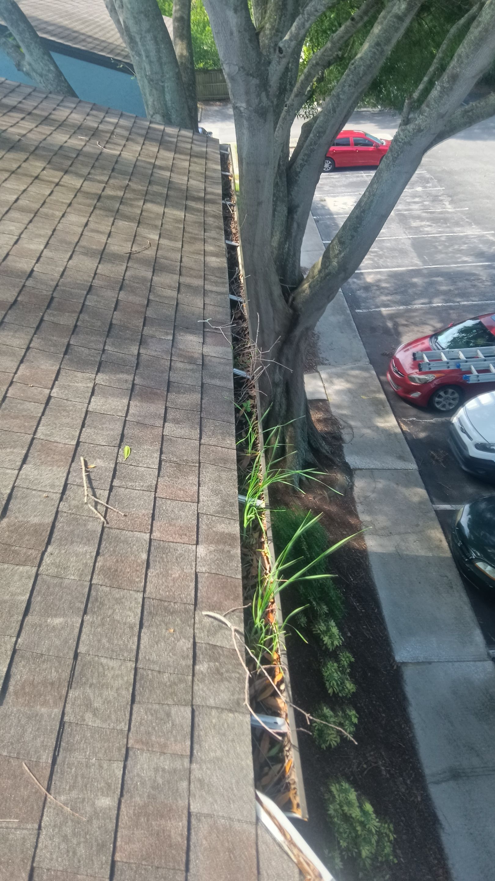 Commercial gutter cleaning Winter Haven & Haines City before photo with filled gutters