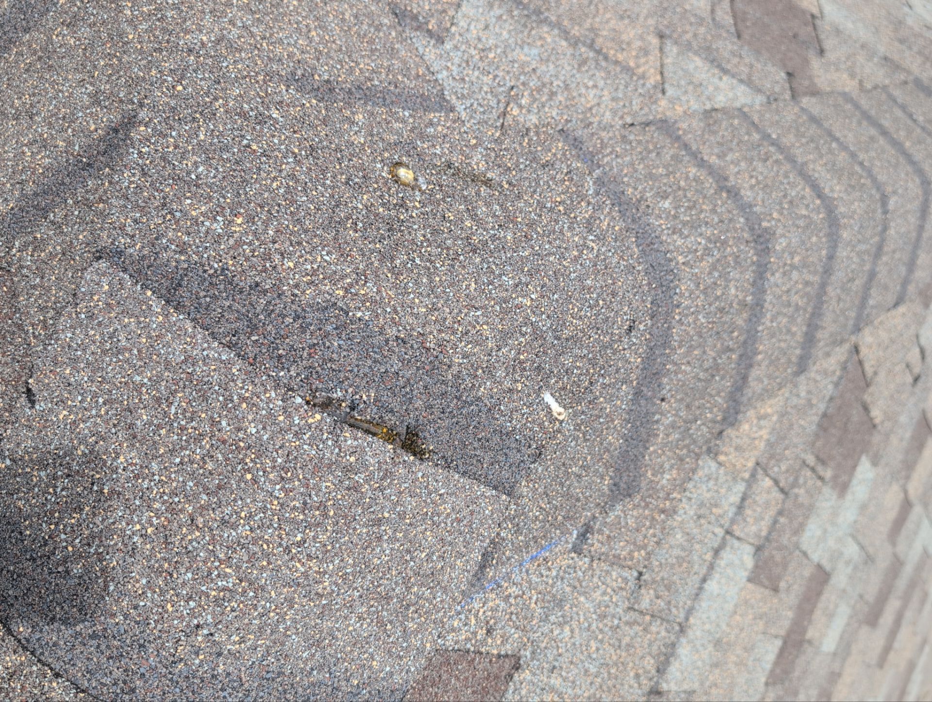 Roof Replacement in Cape Fair by Table Rock Design + Build