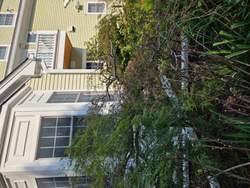 Window Cleaning in Boonton, NJ — Gallo Bros job photo