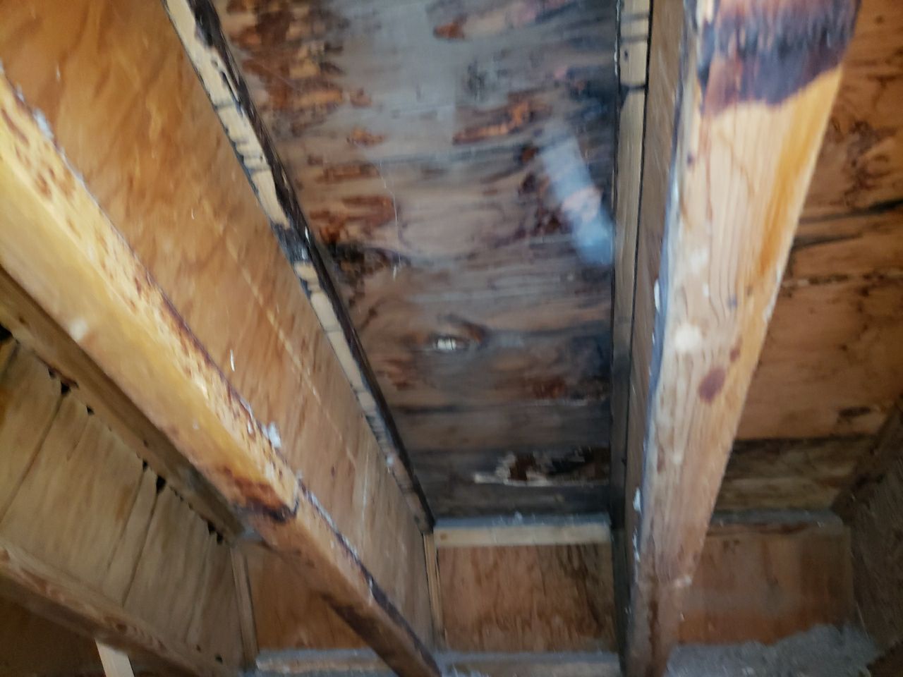 Residential Roofing Repair using Concrete Tile by The Roof Doctor