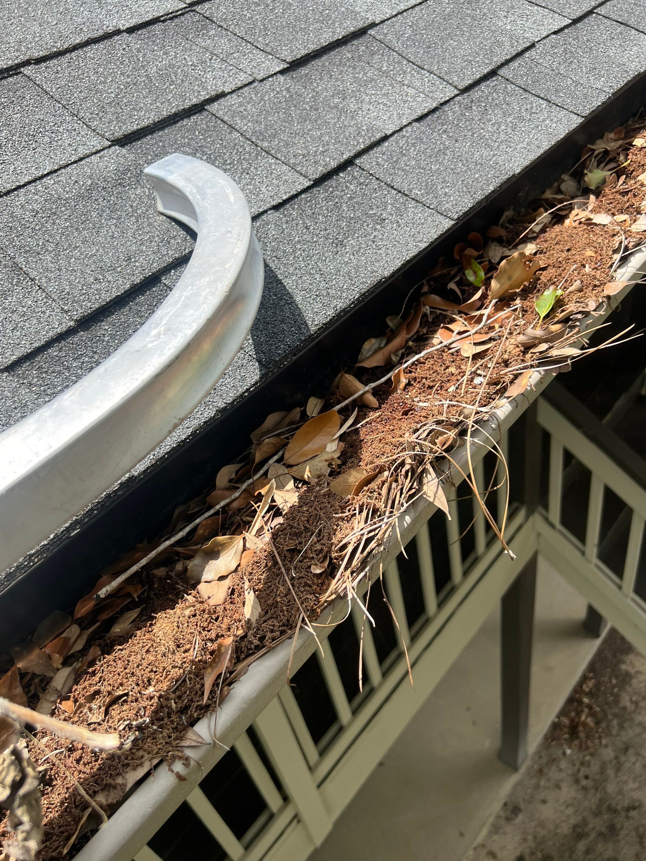 Commercial gutter cleaning Dothan, AL before photo with filled gutters