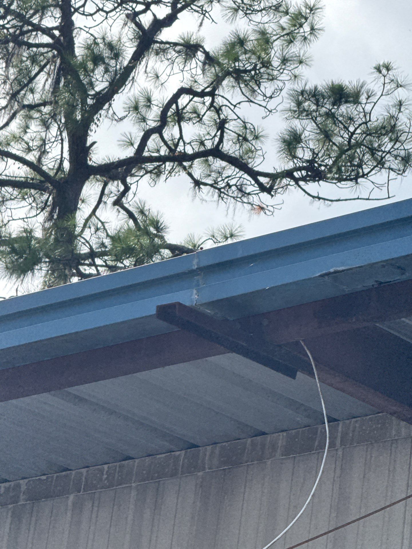Clean Gutters and Seal Seams in Lakeland FL by Gutter Professors
