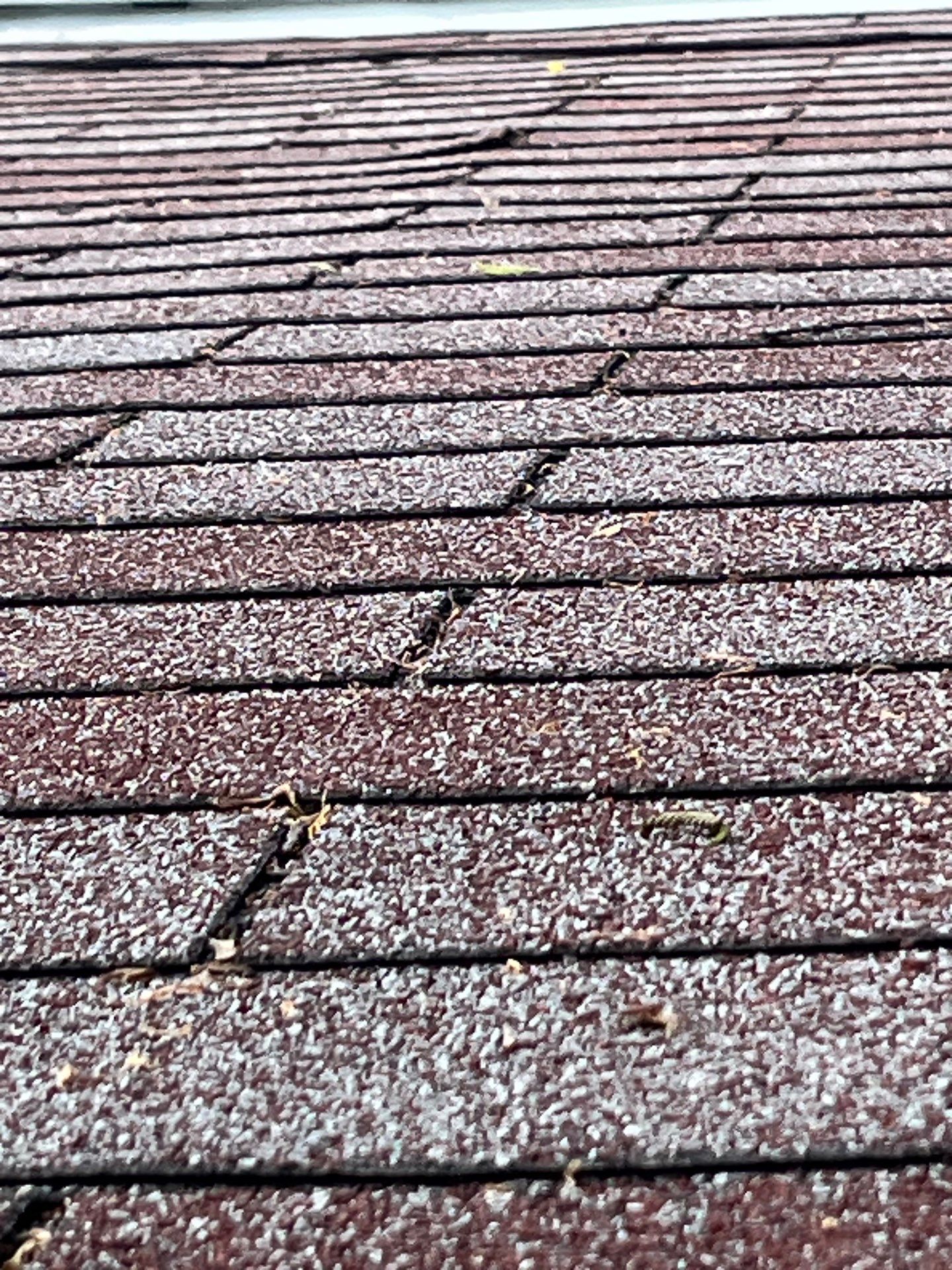 Roof Replacement using Owens Corning Brownwood by 180 Contractors