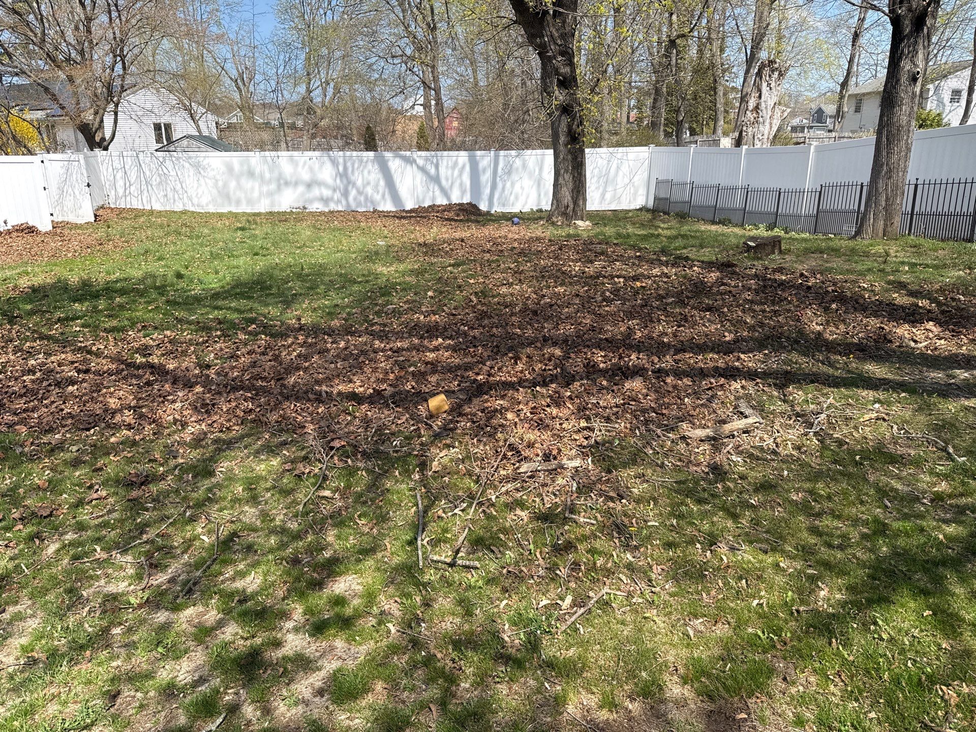 Comprehensive Spring Cleanup and Debris Removal in Clinton by Diamond Image LLC