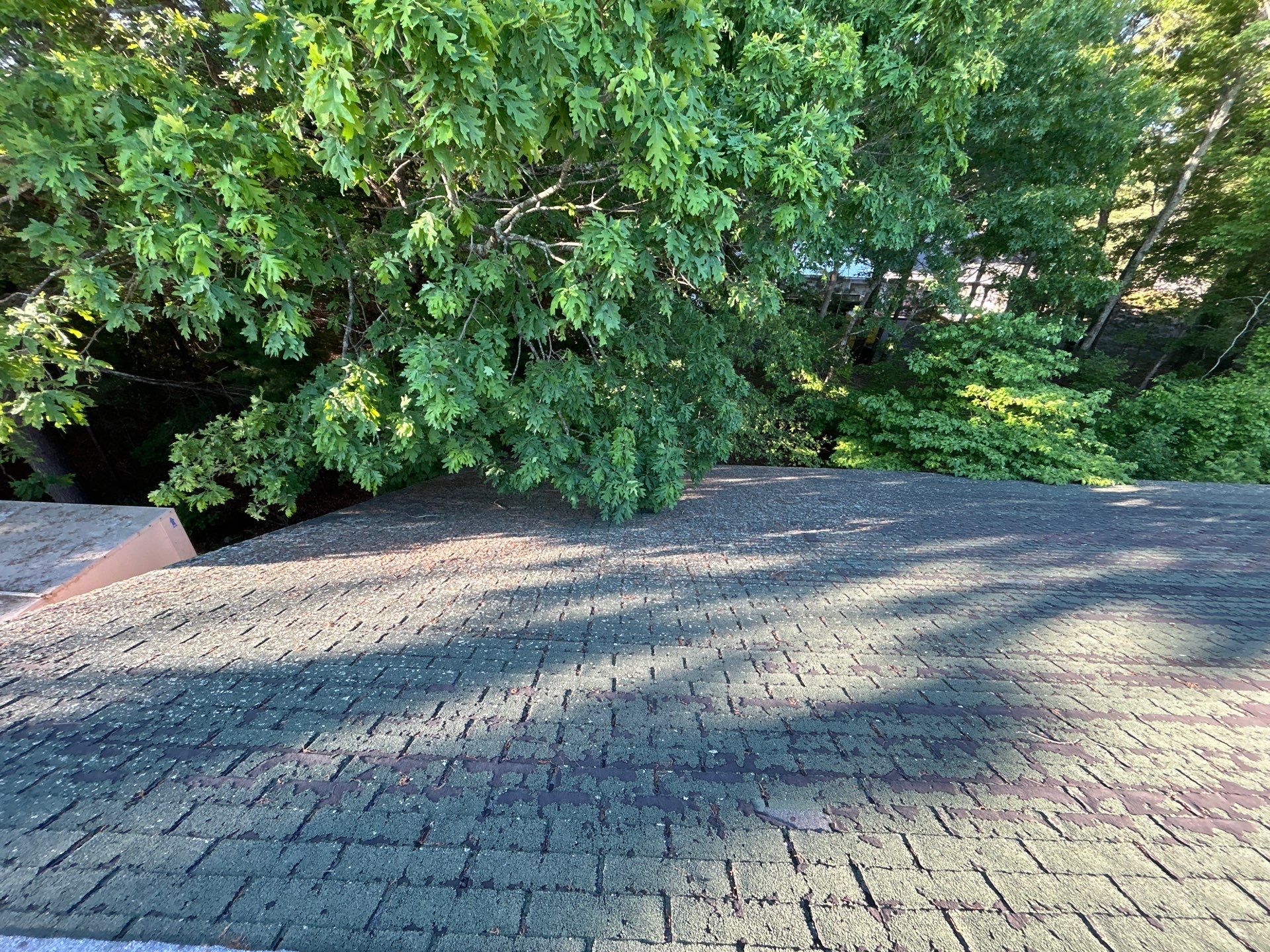 Residential Roofing Installation using Certainteed  by 757 EXTERIORS INC