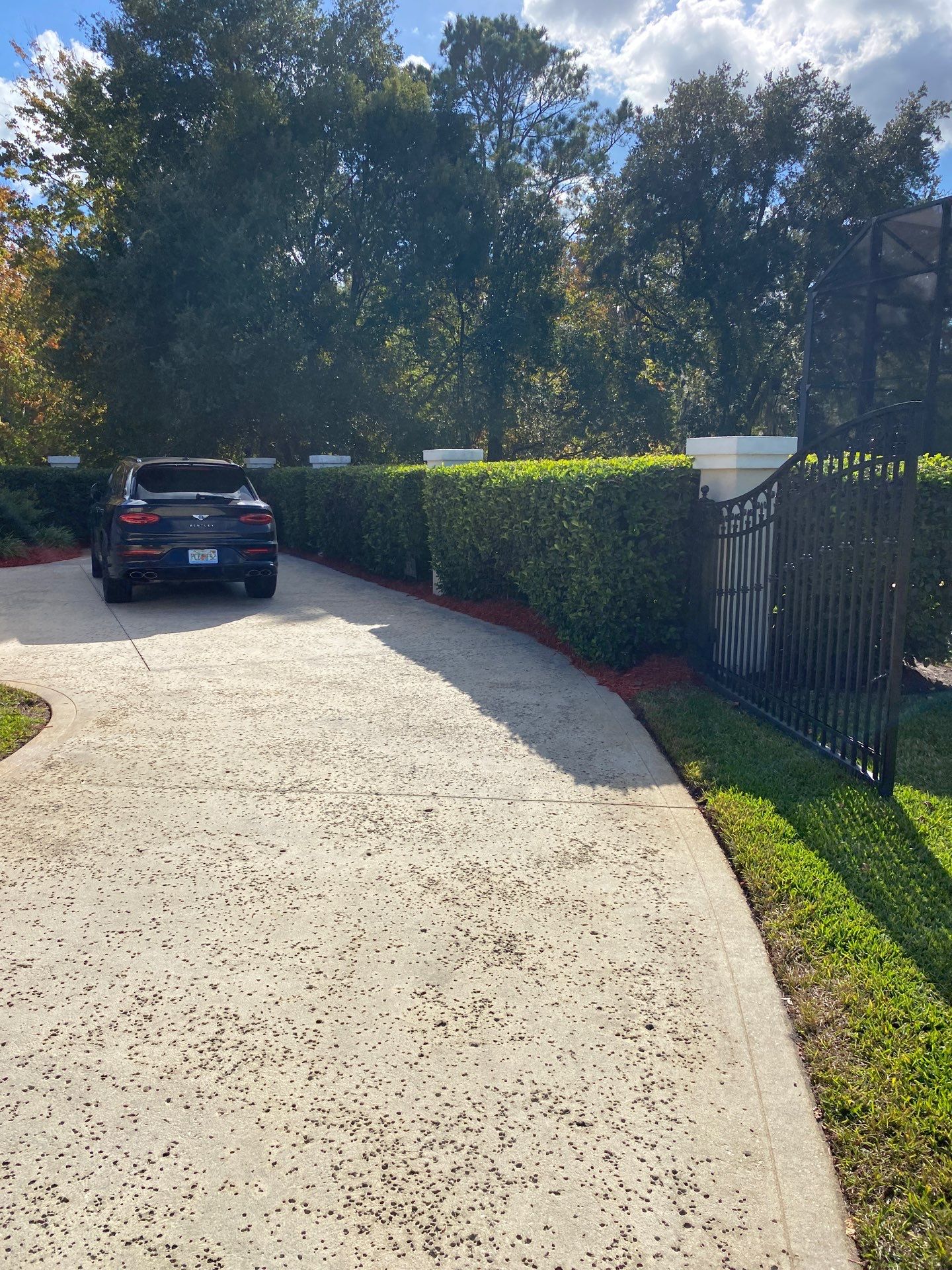 Deerwood Resident | Palm Trimming & Ground Cover by ProGreen Services