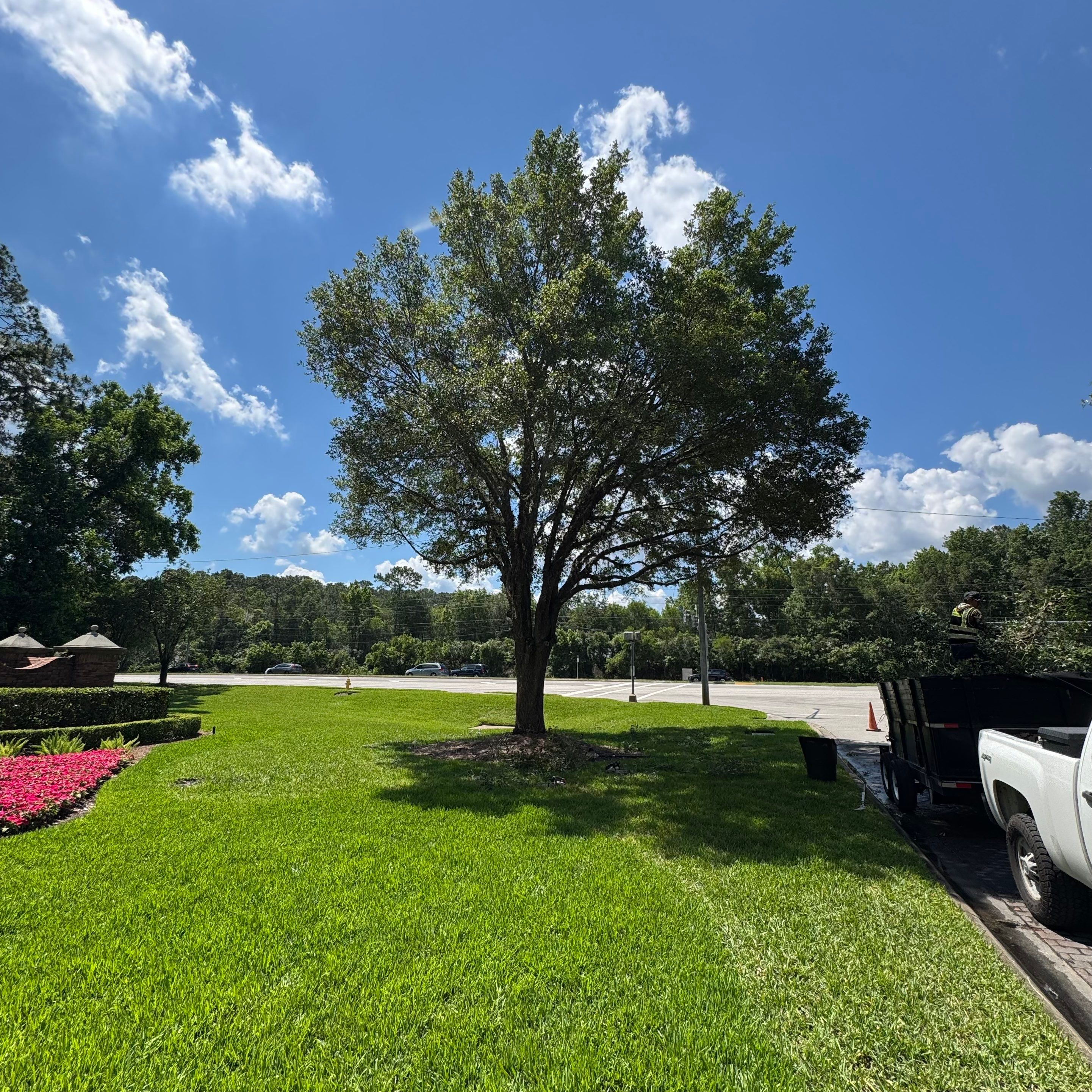 Deerwood Community | Tree Work by ProGreen Services