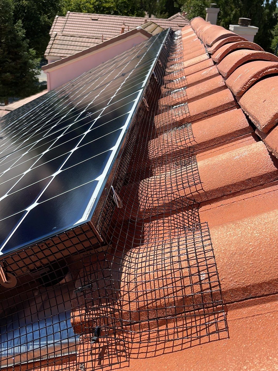 Solar Panel Bird Proofing using Critter Guard Mesh by All One Solar Shine
