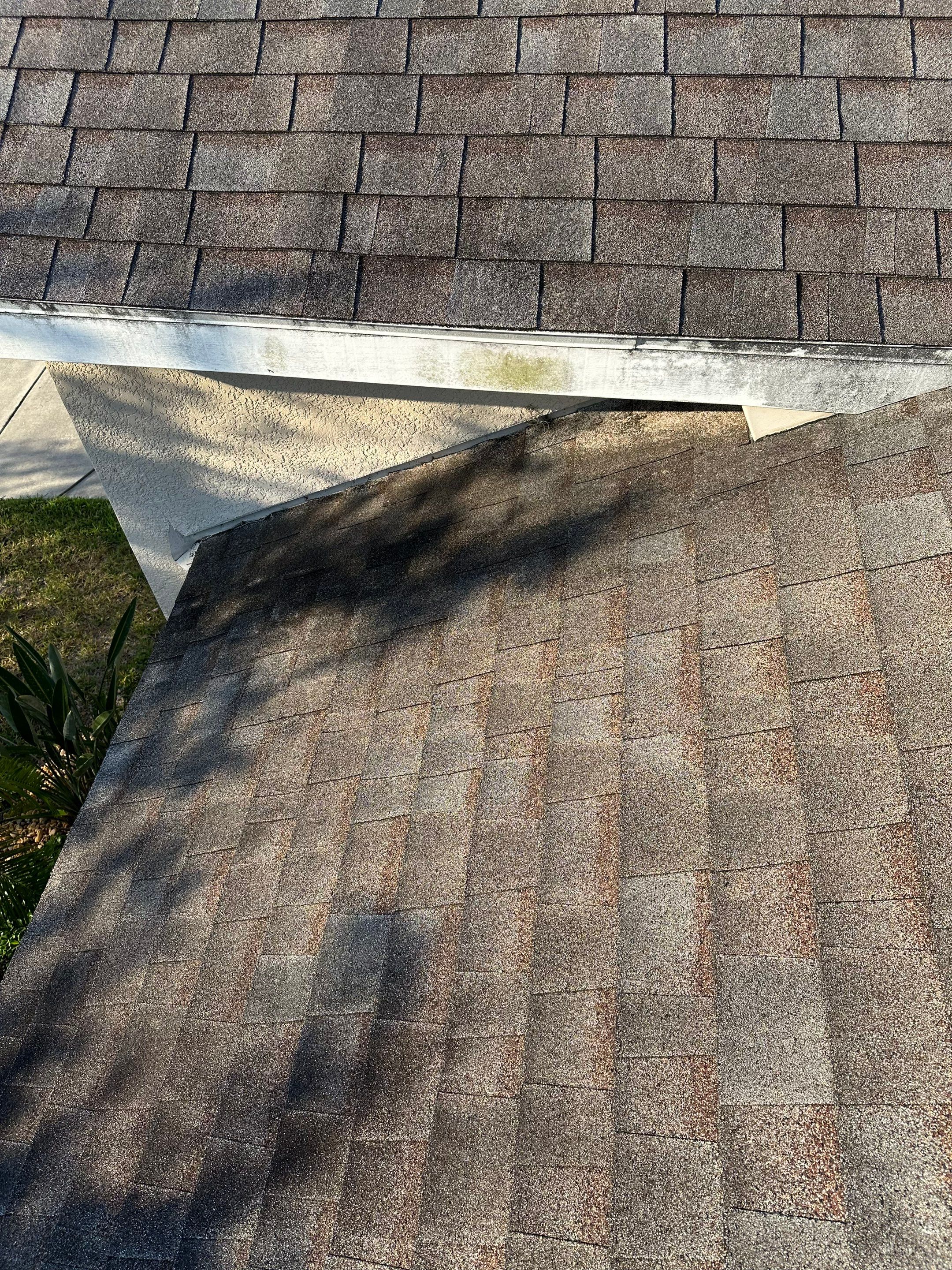 Asphalt Shingle Roof Soft Wash Cleaning & Concrete Pressure Washing in CopperStone Community, Parrish, FL by Sunshine AquaWash