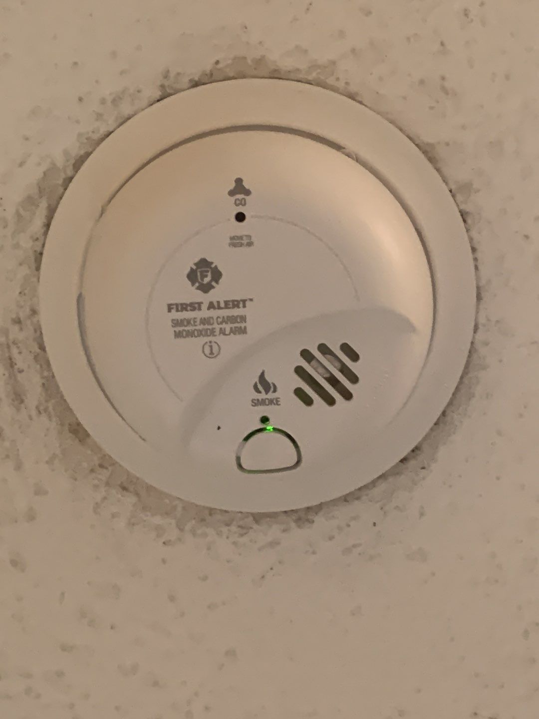 Property Maintenance using Smoke / Co Alarms by A1 NERDY HOMES LLC