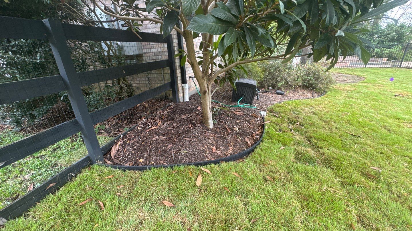 Mr. Jeff — Backyard Drainage & Grading Improvement by Texas Urban Elements