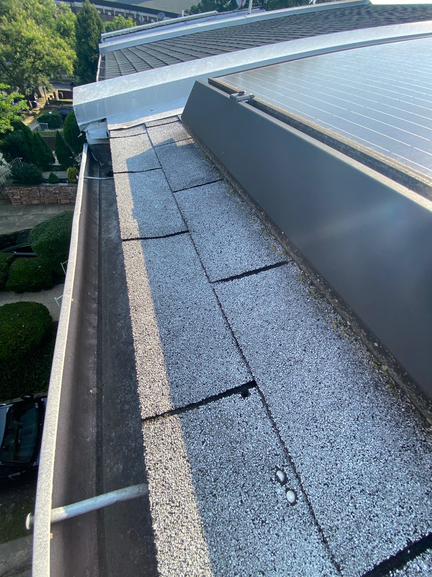 Silver Birch Shingles by Reimagine Roofing