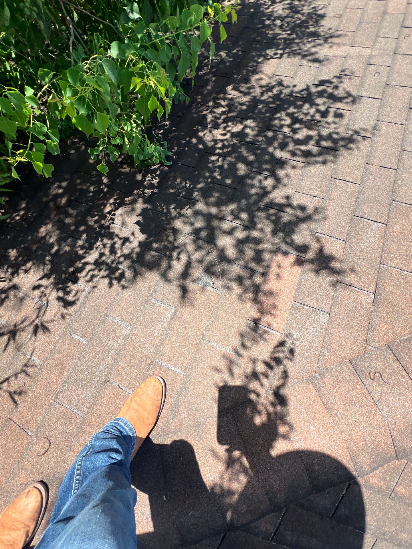 Residential Roofing Repair using Owen's Corning Duration (Lifetime) Shingles by Roof Repair Services LLC