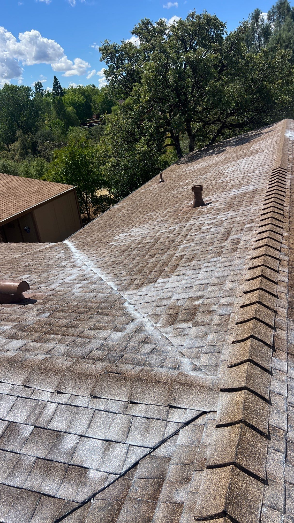 Roof Rejuvenation using Roof Maxx Treatment by Roof Maxx of Folsom