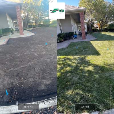Project in Stockton