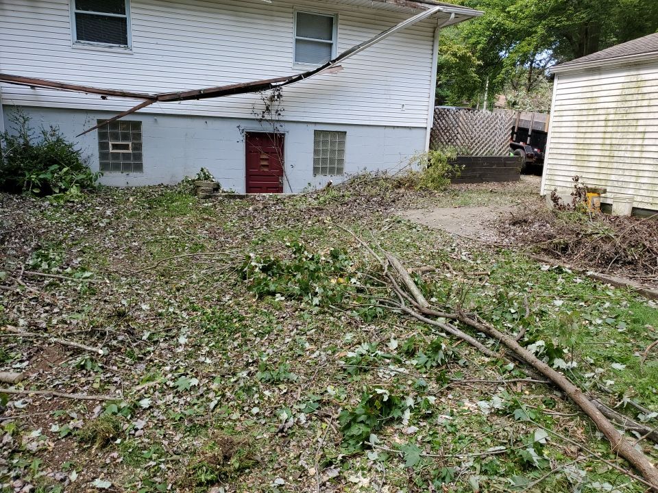 Storm Damaged Tree Removal  by Mike Jones & Sons Tree Service LLC 