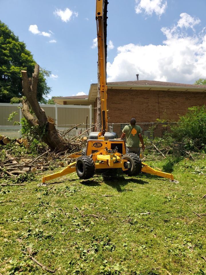 Tree Removal using Tree Removal by Mike Jones & Sons Tree Service LLC 