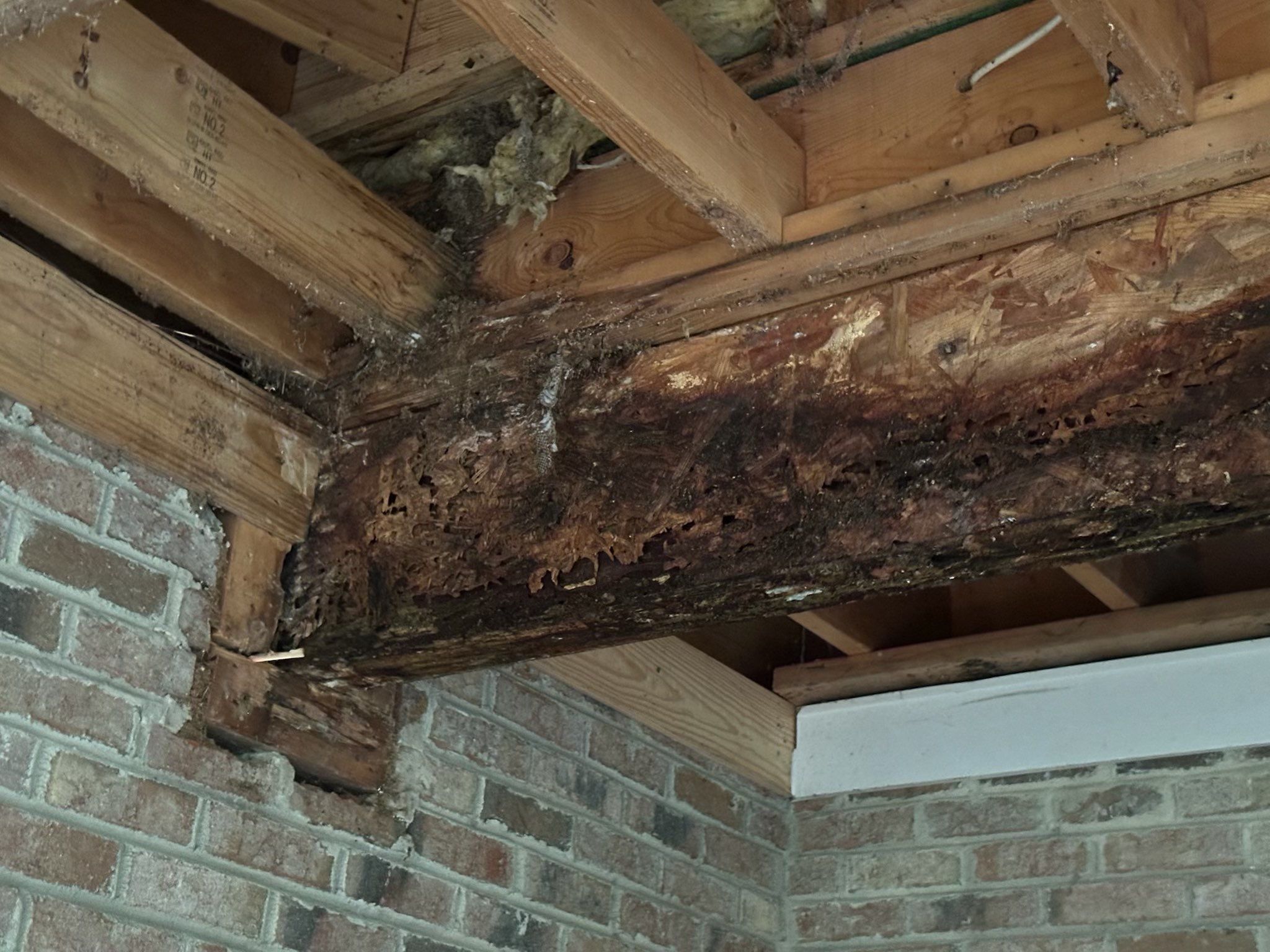 Clayton Roof Replacement and Structural Wood Rot Repair Project by Cadmus Construction