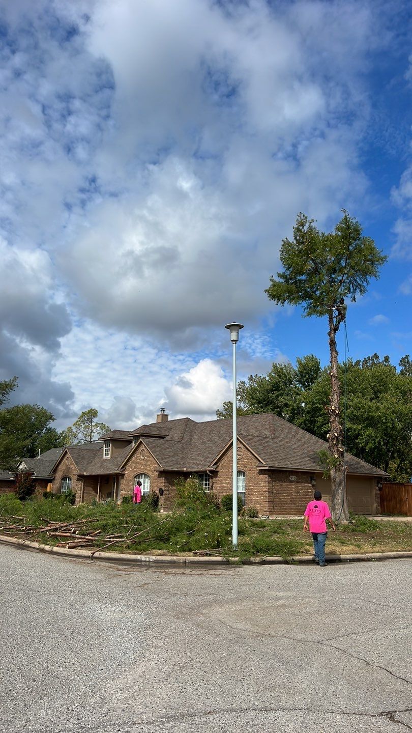Tree removal , Concrete, Pergola, and sod install  by Clays Services Inc