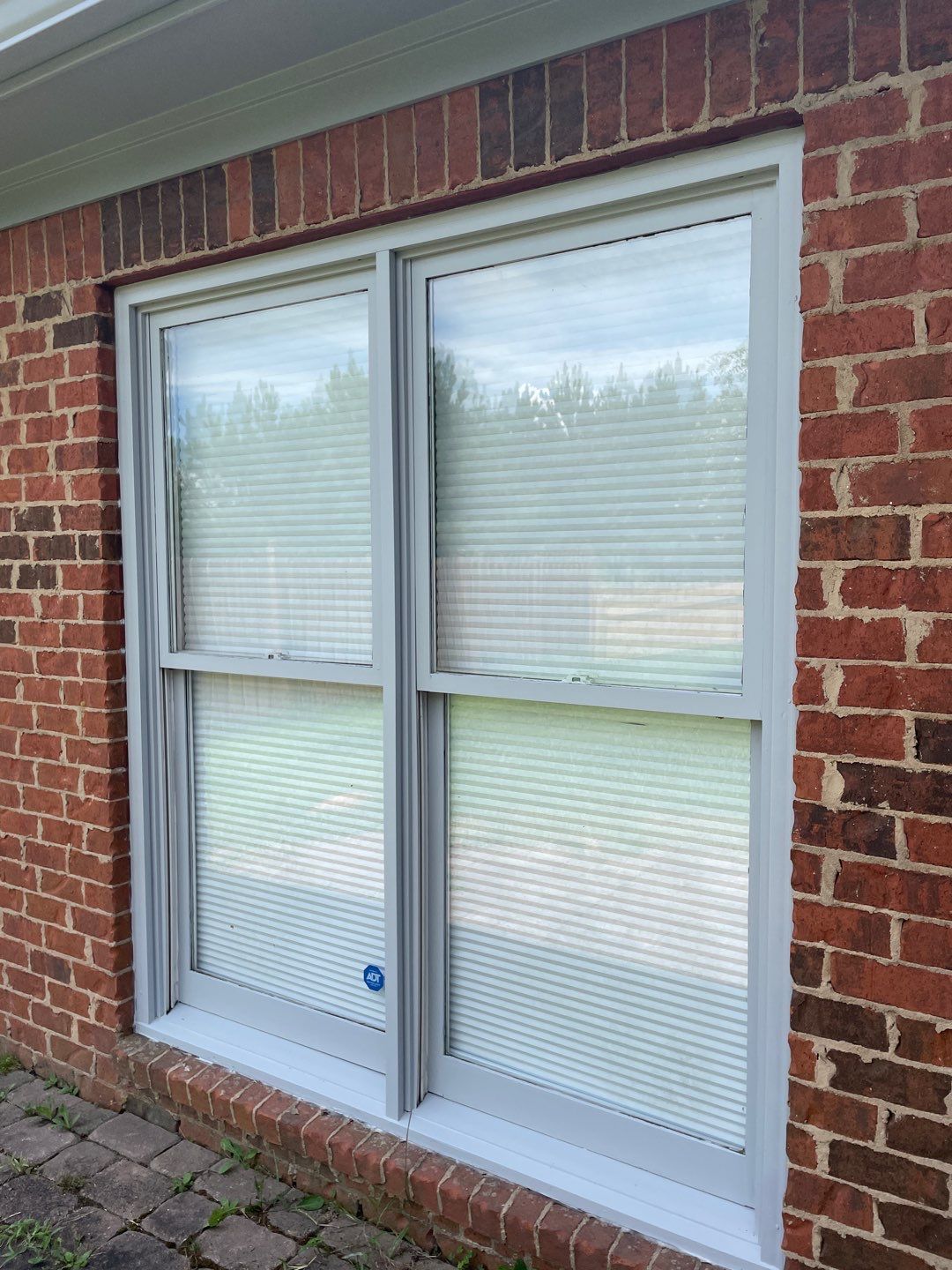 Downing Park - Paint by Pillar and Pine