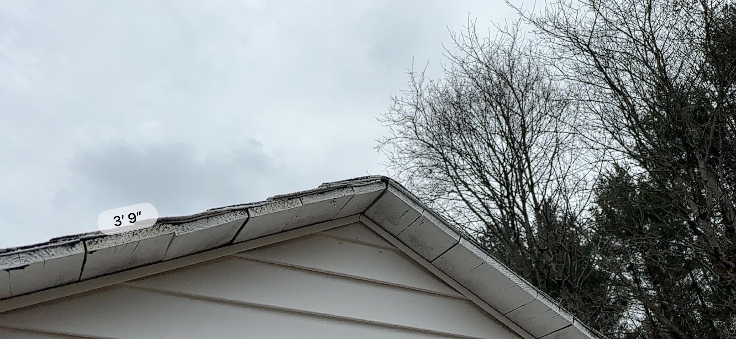 Siding, Roofing & Windows | Wilmington by Mighty Dog Roofing of Greater Middlesex County