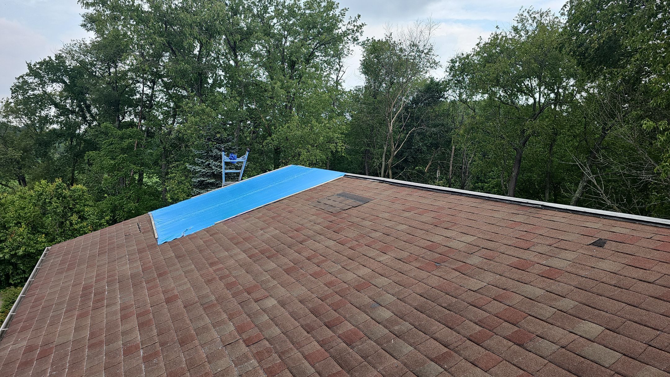 Atlas Pinnacle, Color, Heatherblend, Drip Edge, Color, Wicker by Eagle Eye Roofing