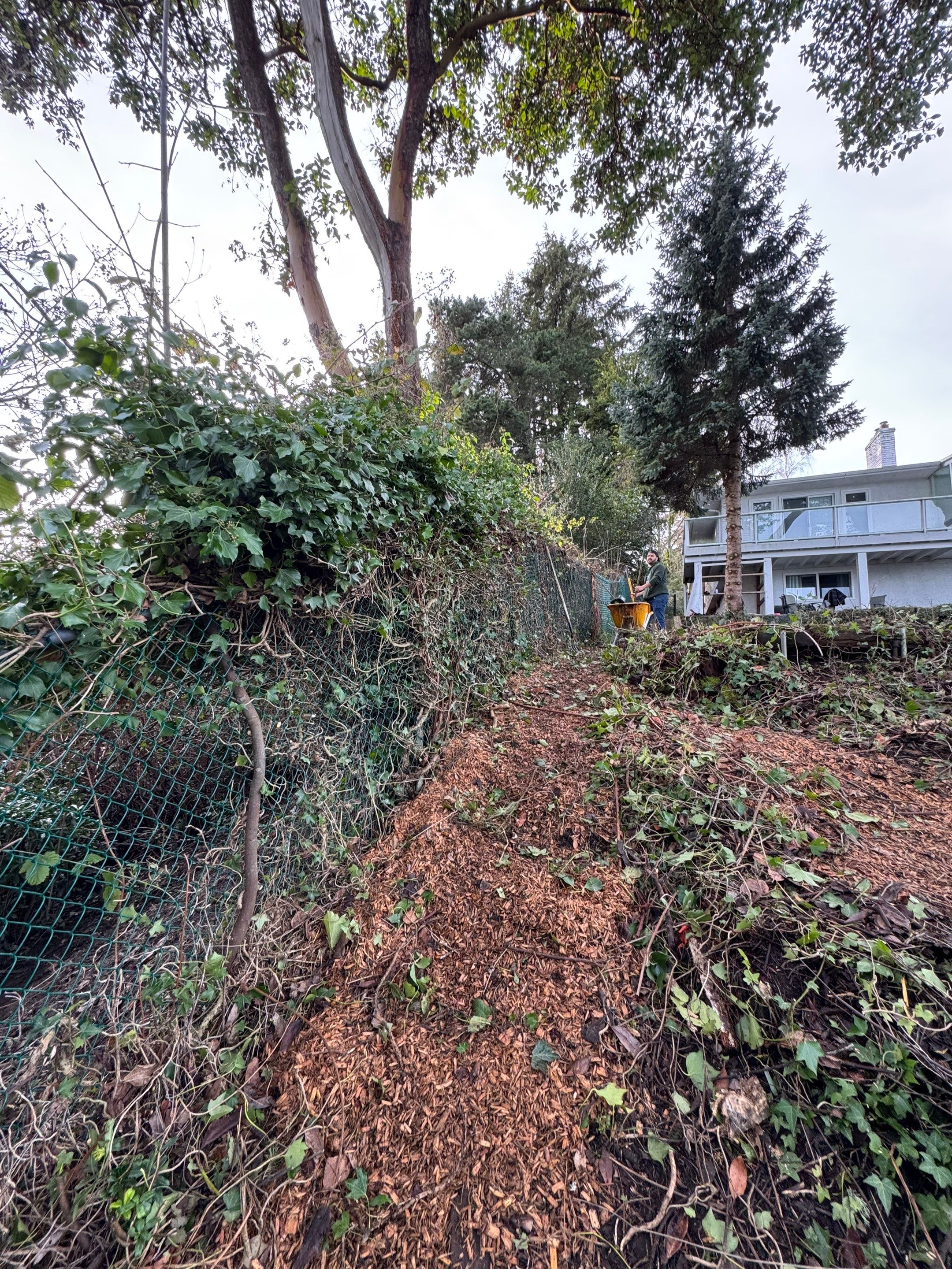 Georgia Park Terrace — Living Slope Transformation by Habanero Landscape Solutions