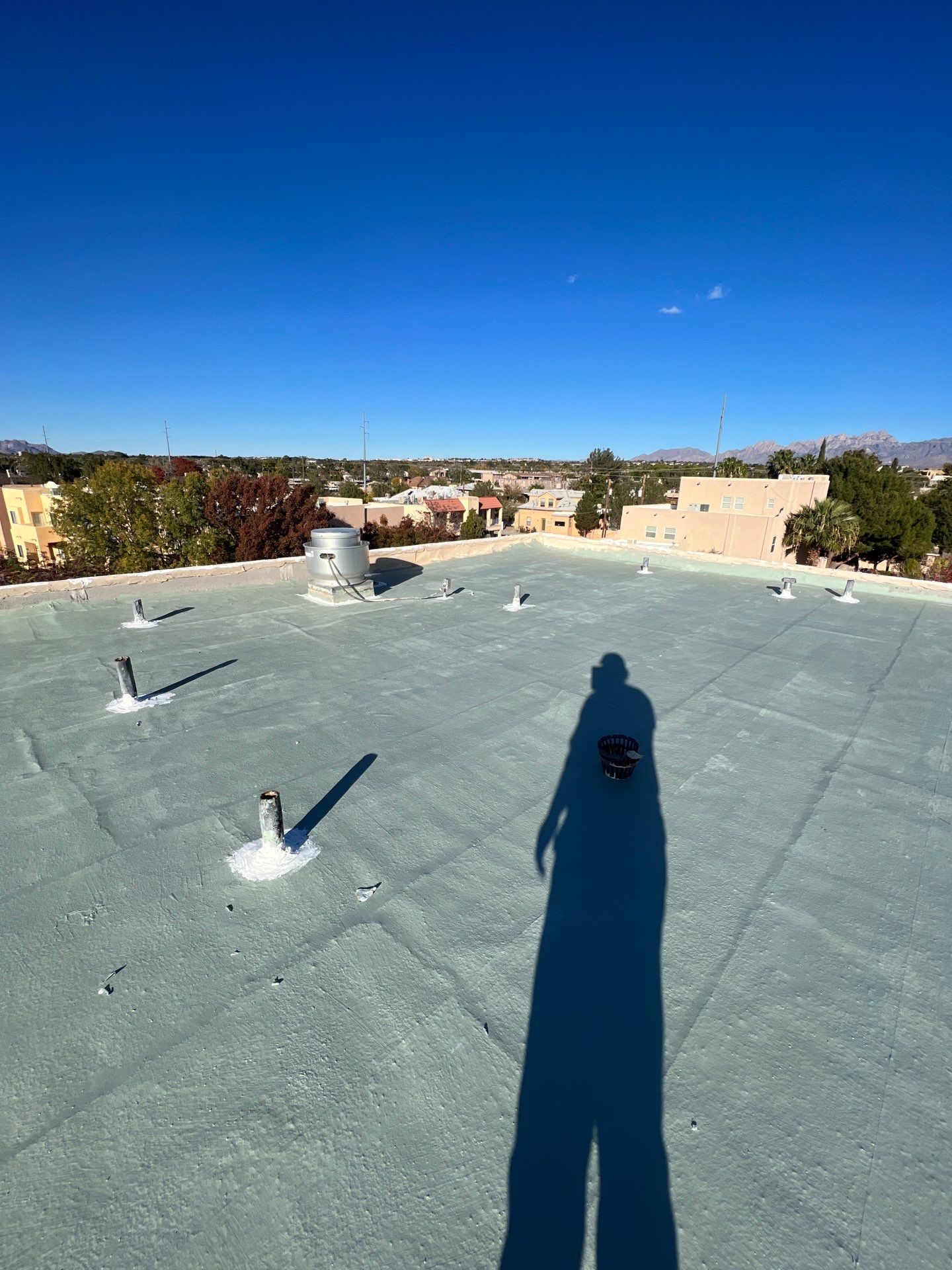 Las Palmas Apartments by SPF Services 