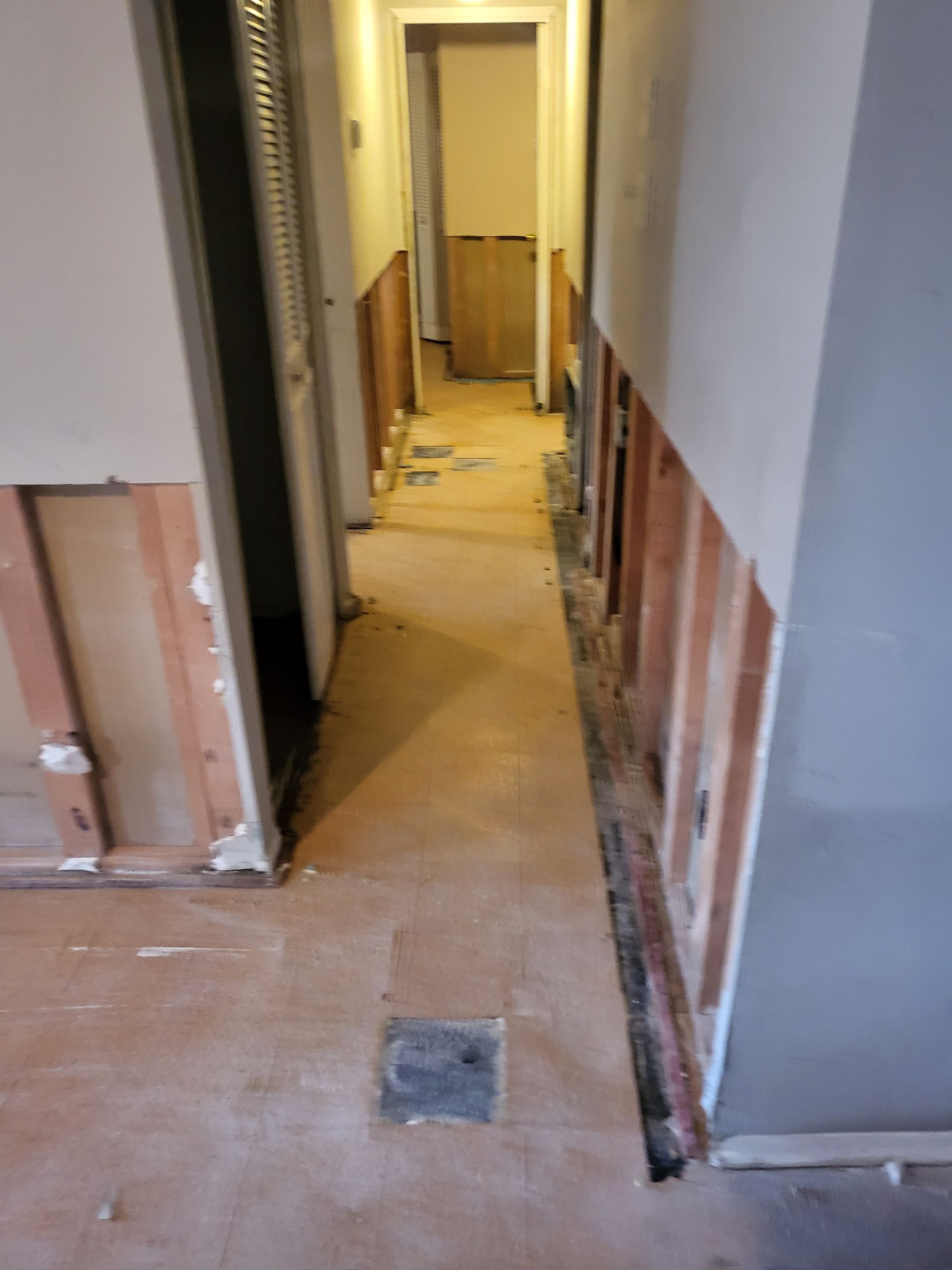 Mold Remediation After Water Damage in a Home in Clarksville, IN by ANR Restoration