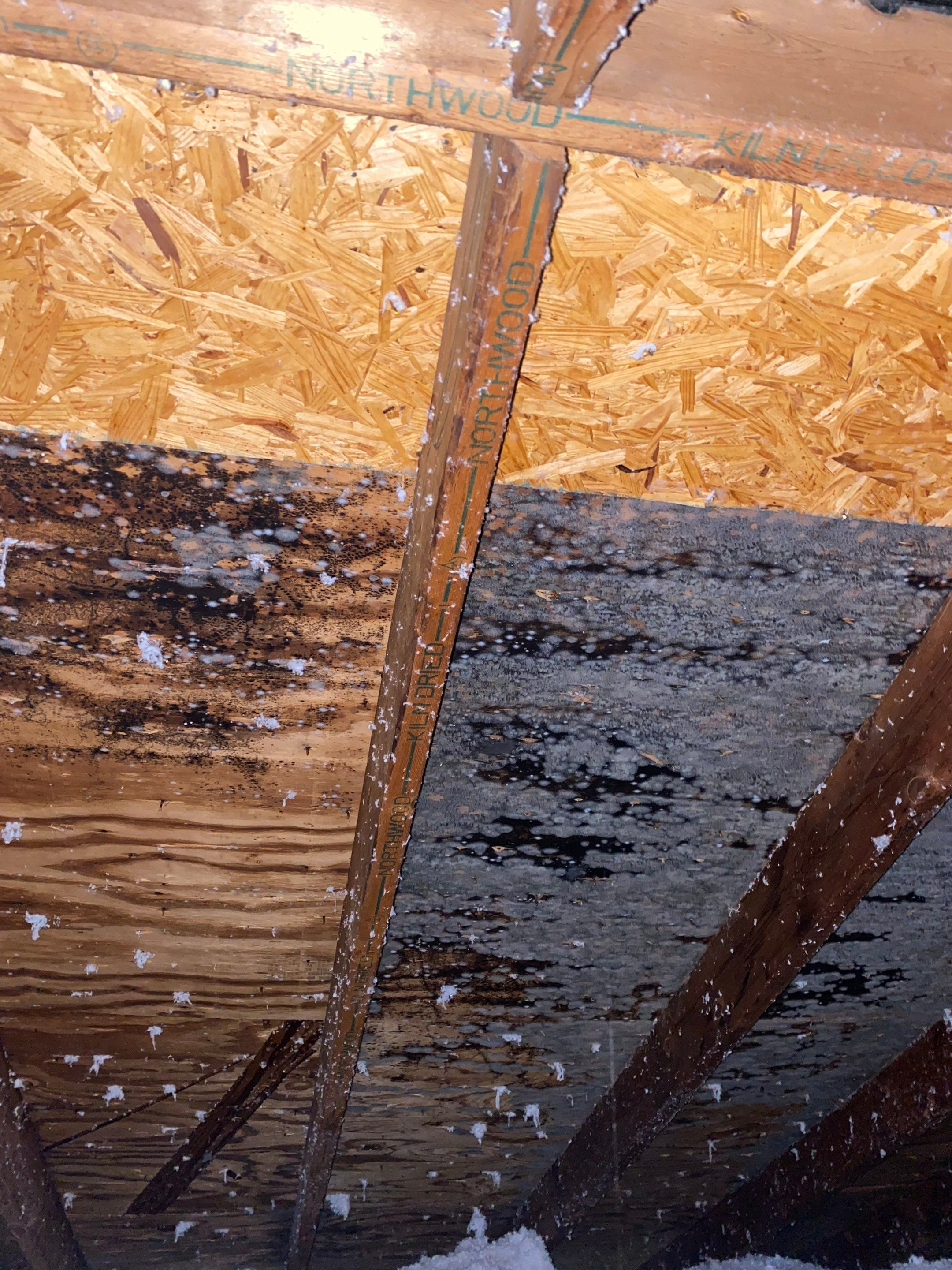 New Copper Metal Roof by Starway Roof Systems