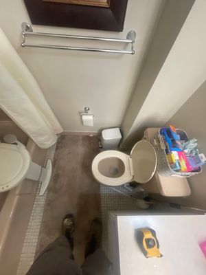 Project in Laurel
