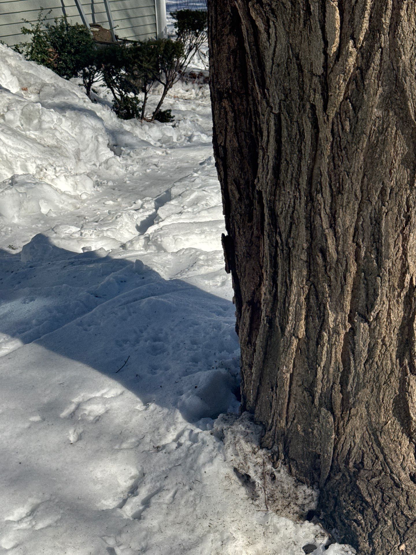 Snow/Ice Belt & Ice Dam Removal Project in Woburn by Mighty Dog Roofing of Greater Middlesex County