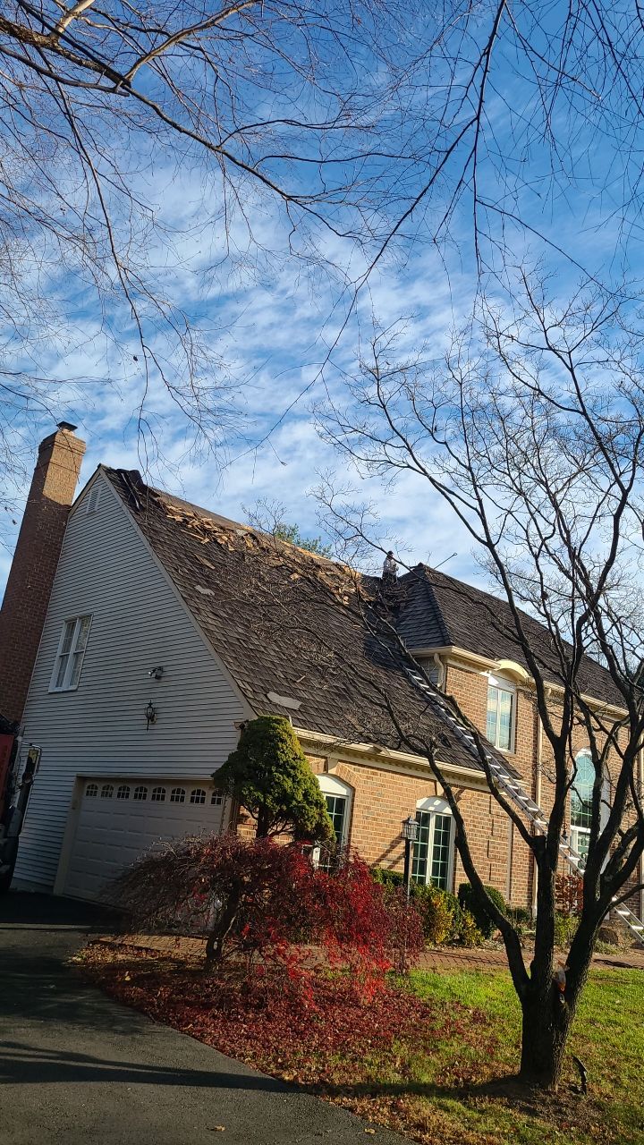 Herndon: CertainTeed Landmark Pro Designer Shingles in Max Def Driftwood by RM Banning, Inc.