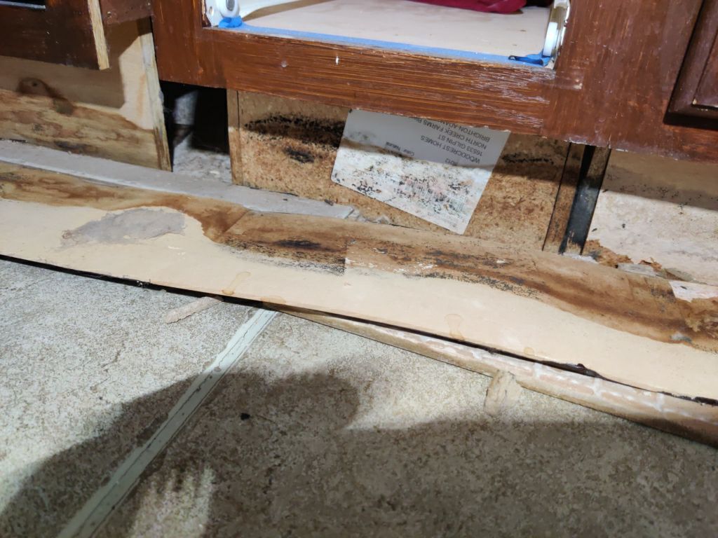 Mold Remediation in Kitchen by Accountable Home Services